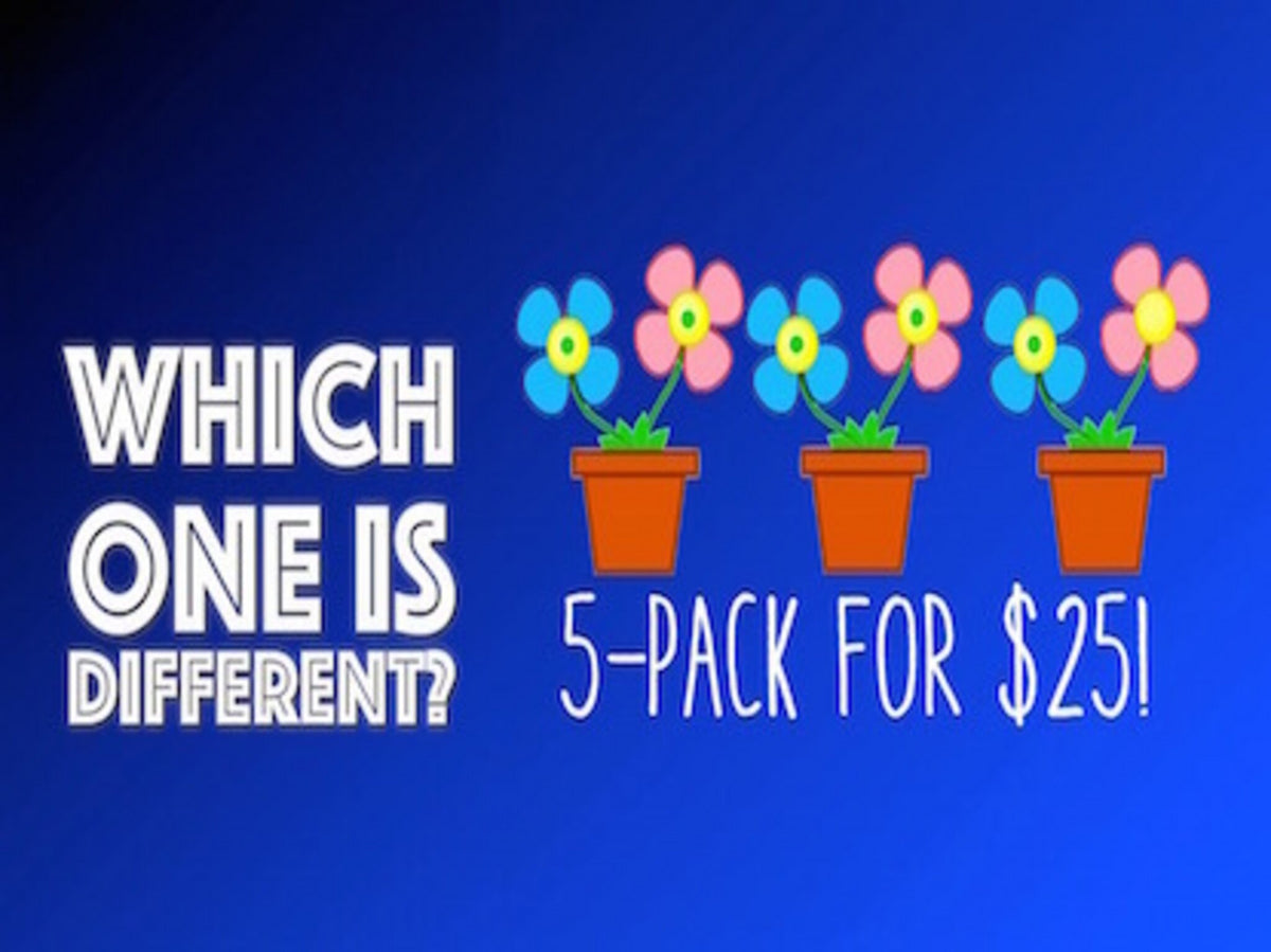 Which One Is Different 5 Pack