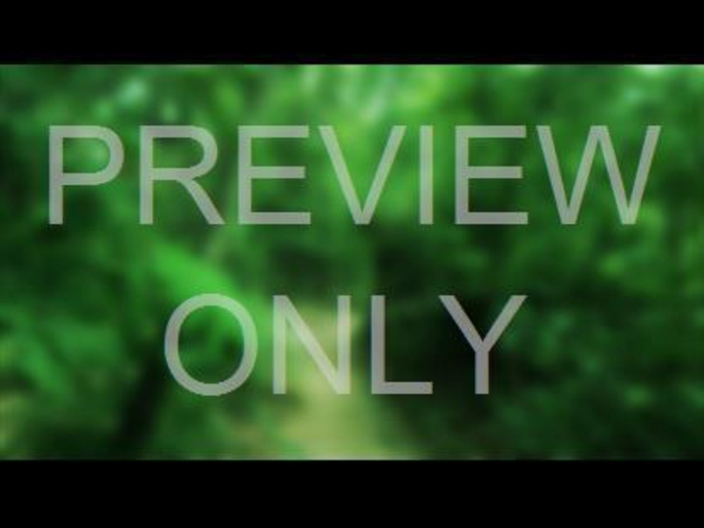 Colors Of Nature Still 5