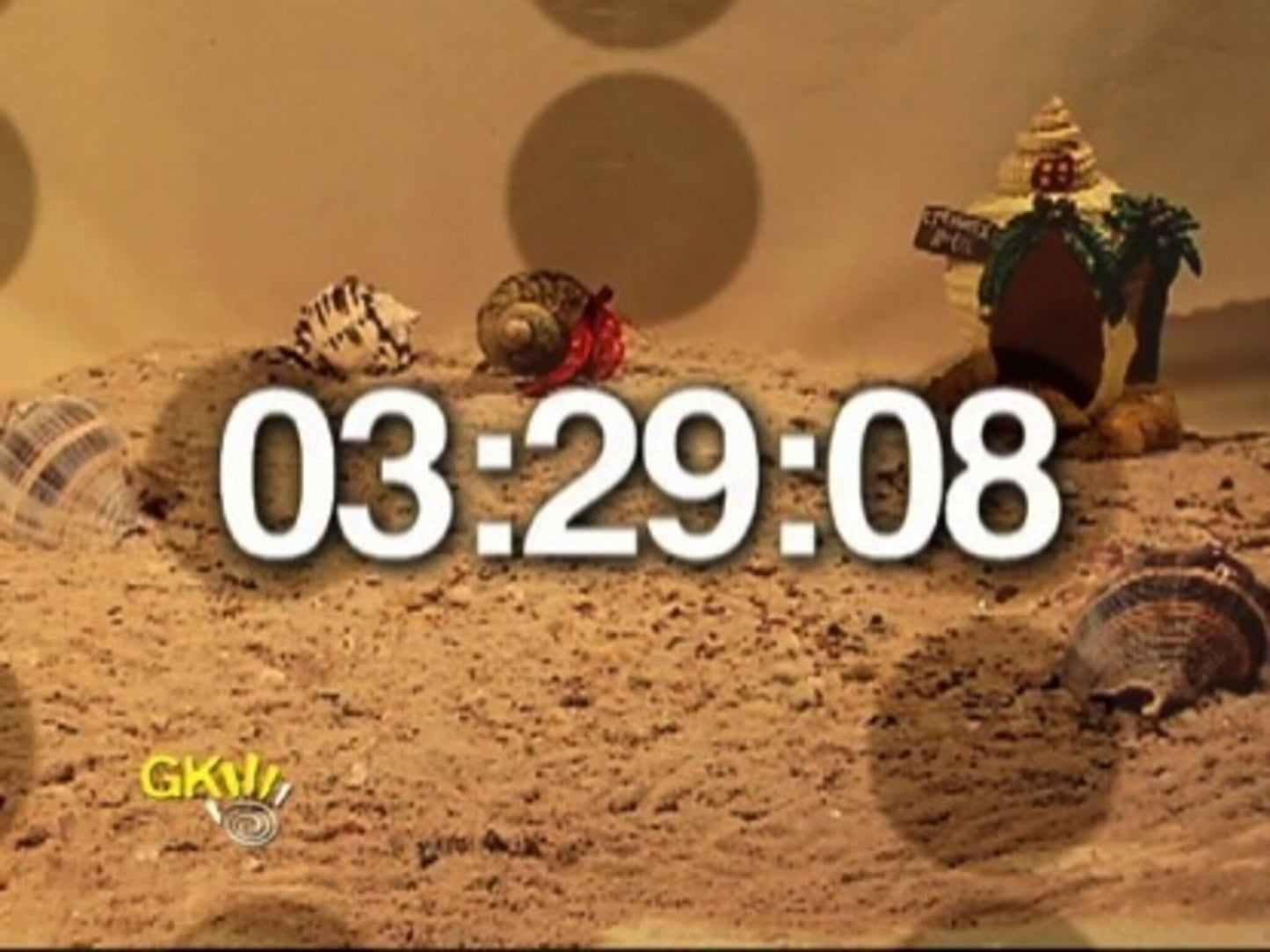 Caffeinated Crabs Crawling Faster Countdown
