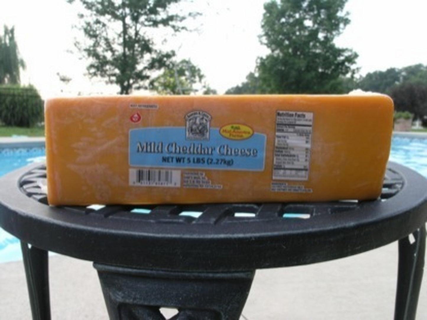 Will It Float: Cheese