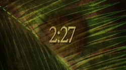 Ancient Palm 2 Hd Countdown