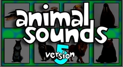 Animal Sounds Versions 5