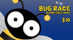 Bug Race: Bumblebee Wins