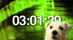 Cute Puppy With A Cute Bark Countdown