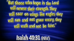 Isaiah 40:31 Niv